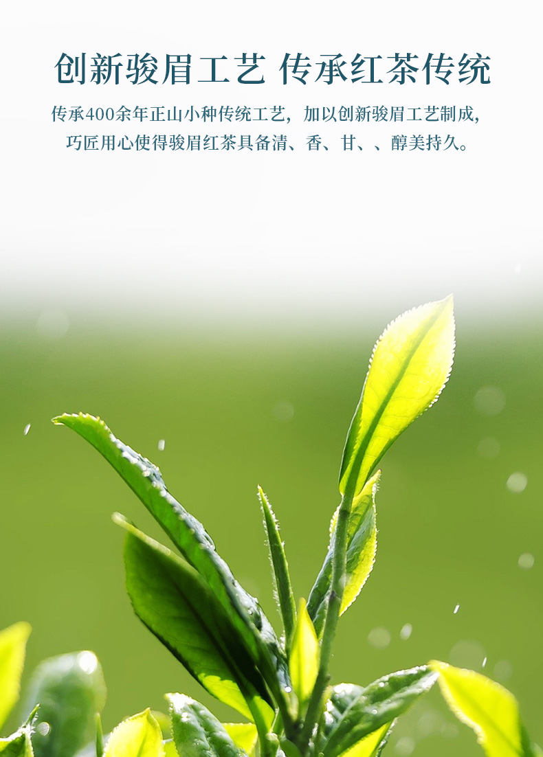 正山堂茶业 骏眉中国巴东巫峡香芽特级红茶茶叶嫩芽花蜜香罐装50g