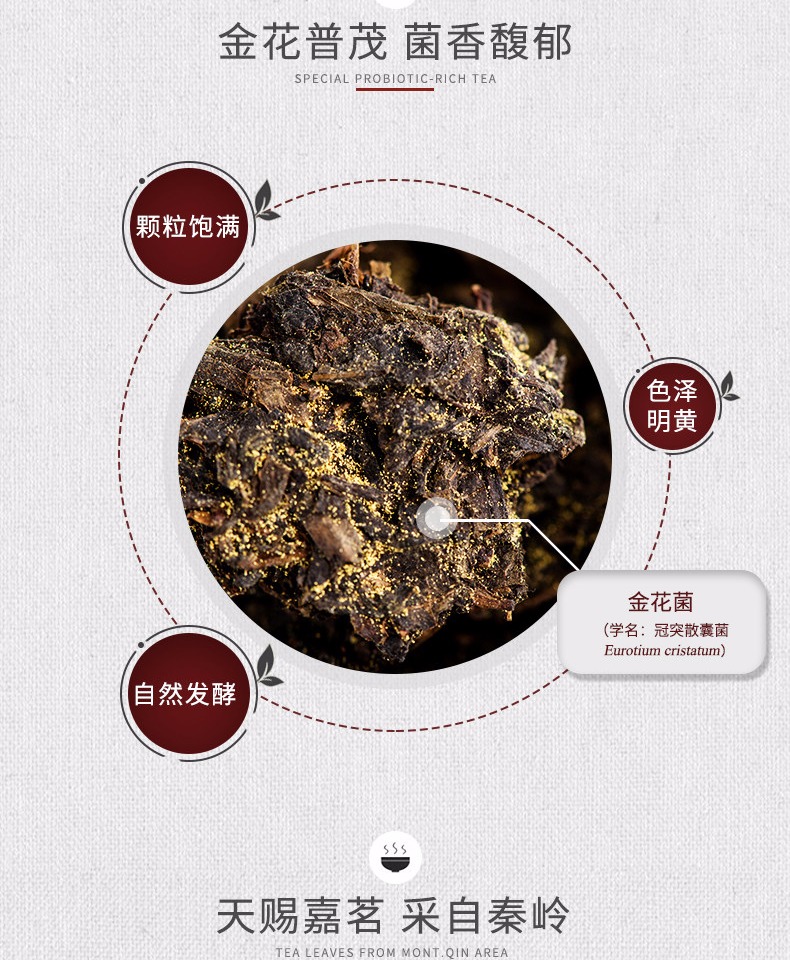 泾渭茯茶泾阳 陕西特产 泾阳茯茶砖茶黑茶叶金花伏茶16年贡金茯茶