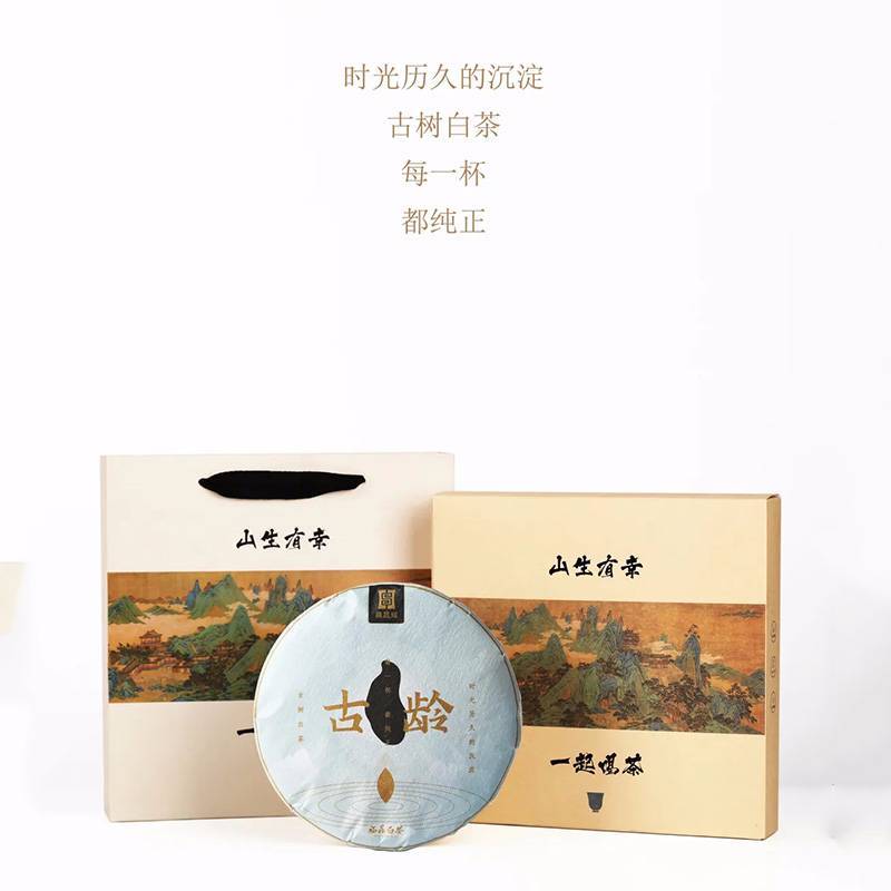 传老福鼎白茶2020年福鼎百年古树白茶饼白牡丹300g礼盒包装鼎晟辉